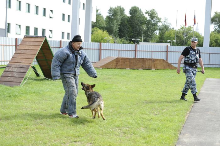 Центр кинологической службы в Москве