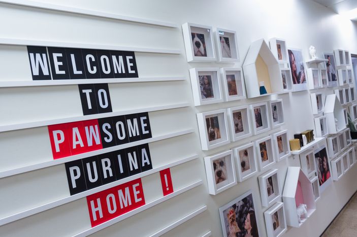 Pet‑friendly офис Purina