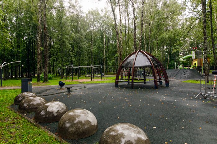 Спортивная площадка в городском парке культуры и отдыха Солнечногорска