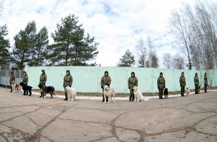Племенной питомник «Красная Звезда» в Дмитровском районе