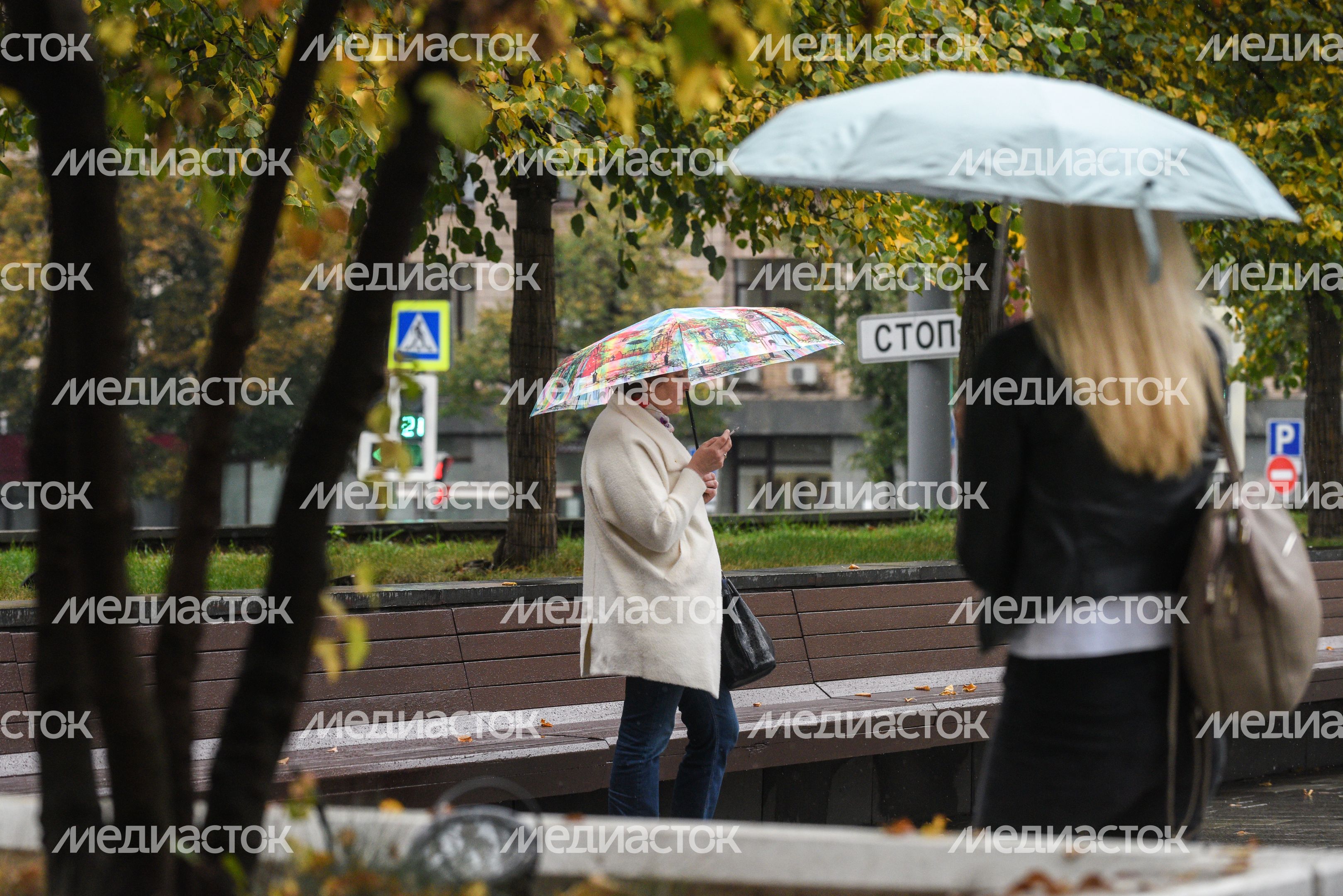 Дождливая погода в Москве