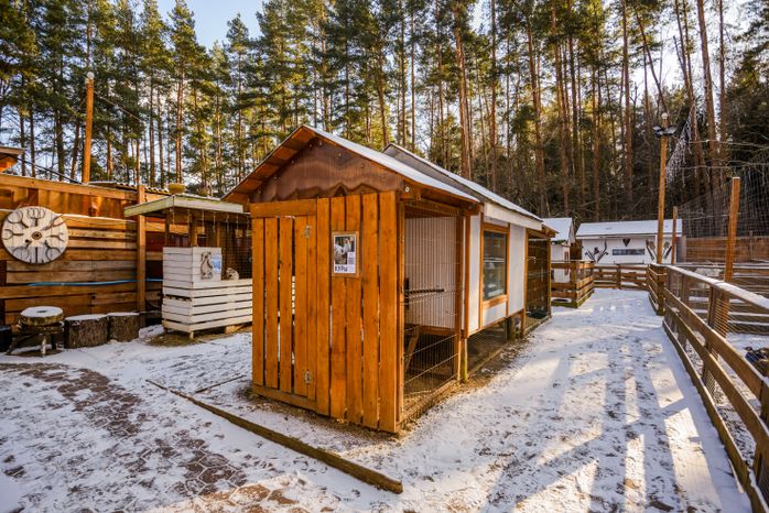 «Веселая экоферма» в парке культуры и отдыха «Елочки» в Домодедово
