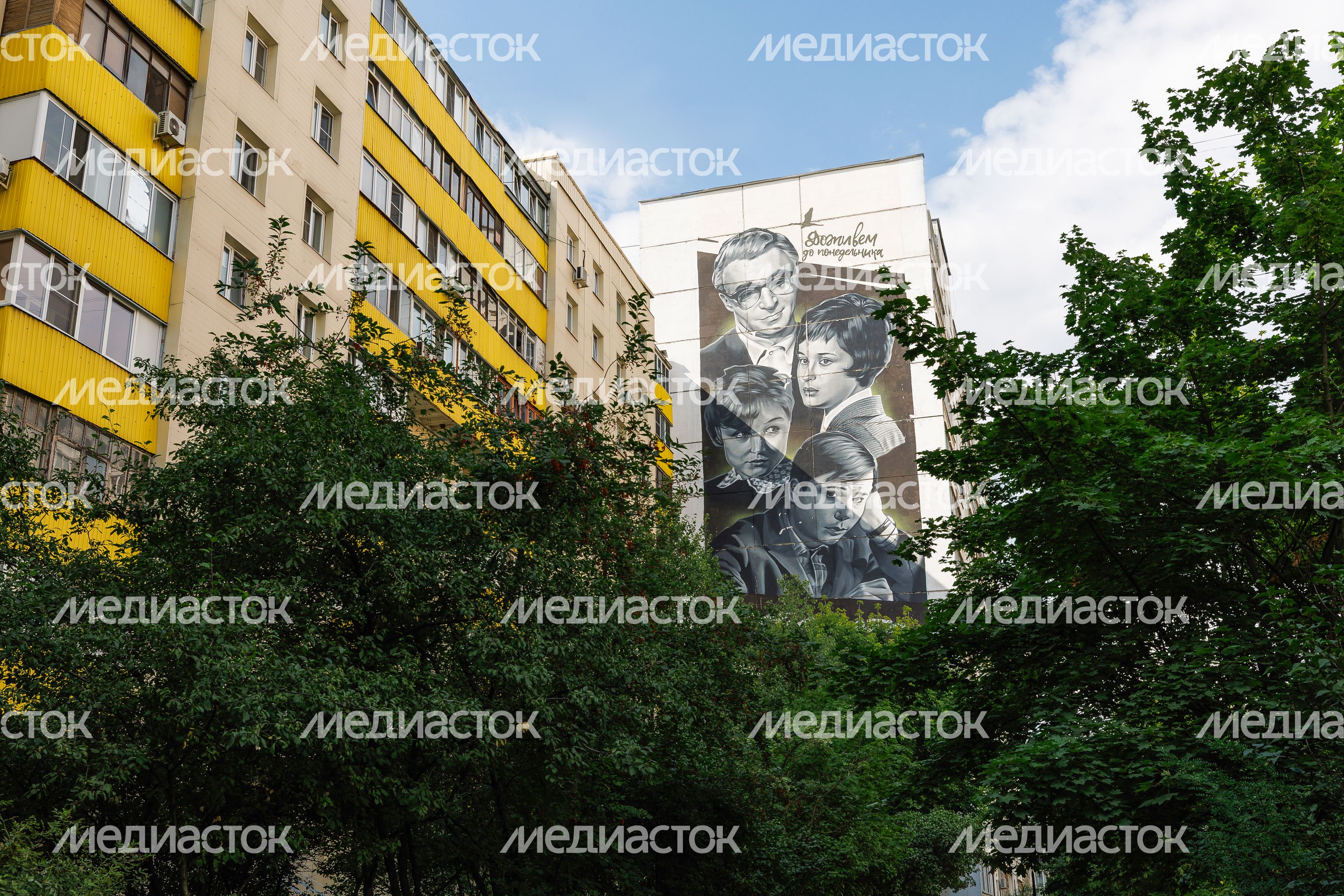 Муралы в Железнодорожном, Балашиха