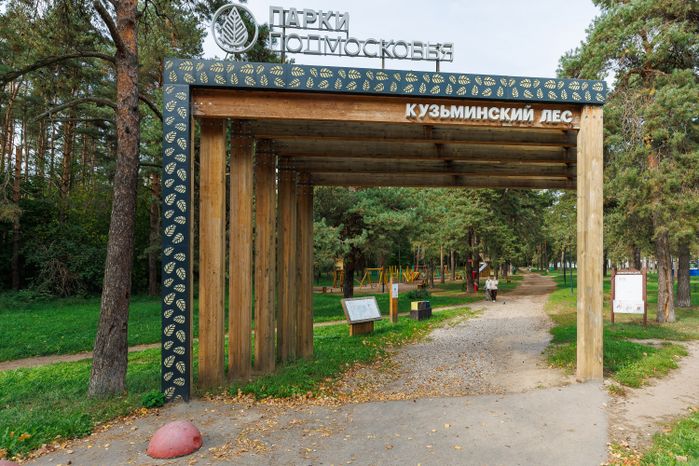 Кузьминский лесопарк в Котельниках осенью