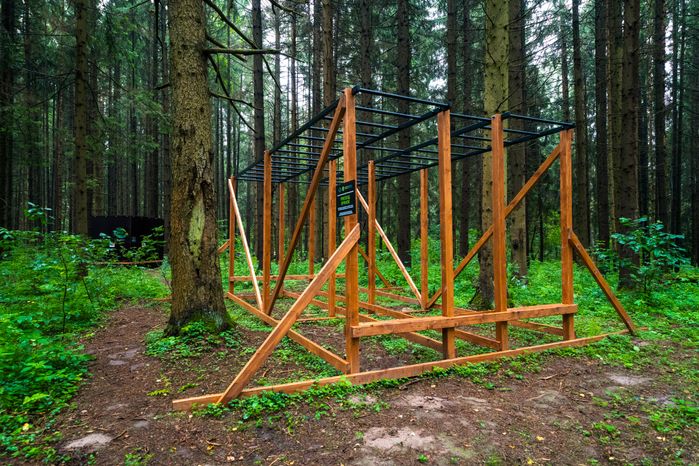 Рукоход в лесопарке «Талицкий лес» летом в Клину