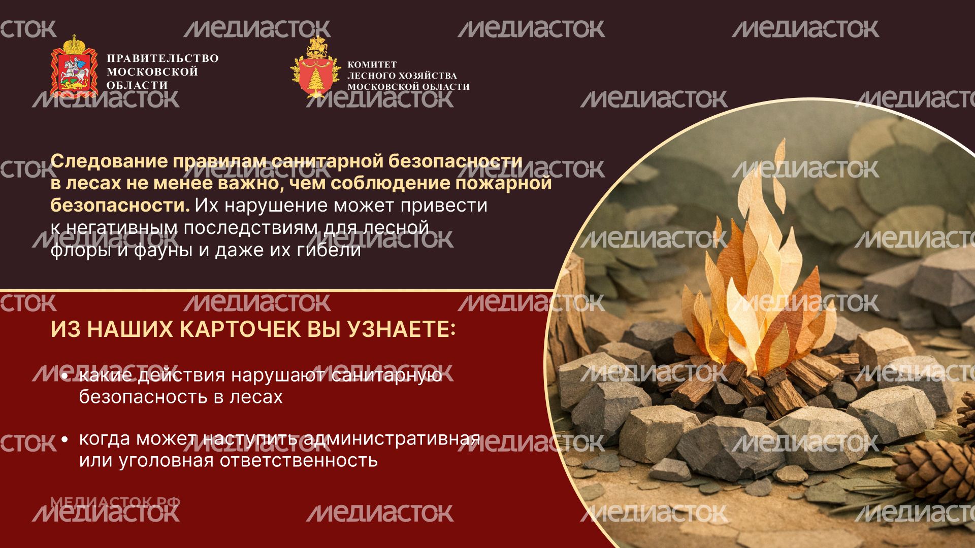 Санитарная безопасность в лесах горизонталь 02