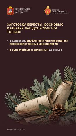 Недревесные ресурсы для собственных нужд Вертикаль 06