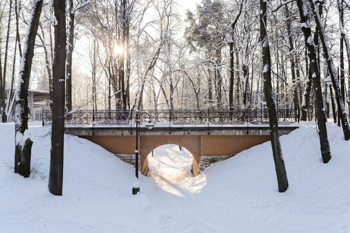 Красногорск. Усадьба «Архангельское». Зима