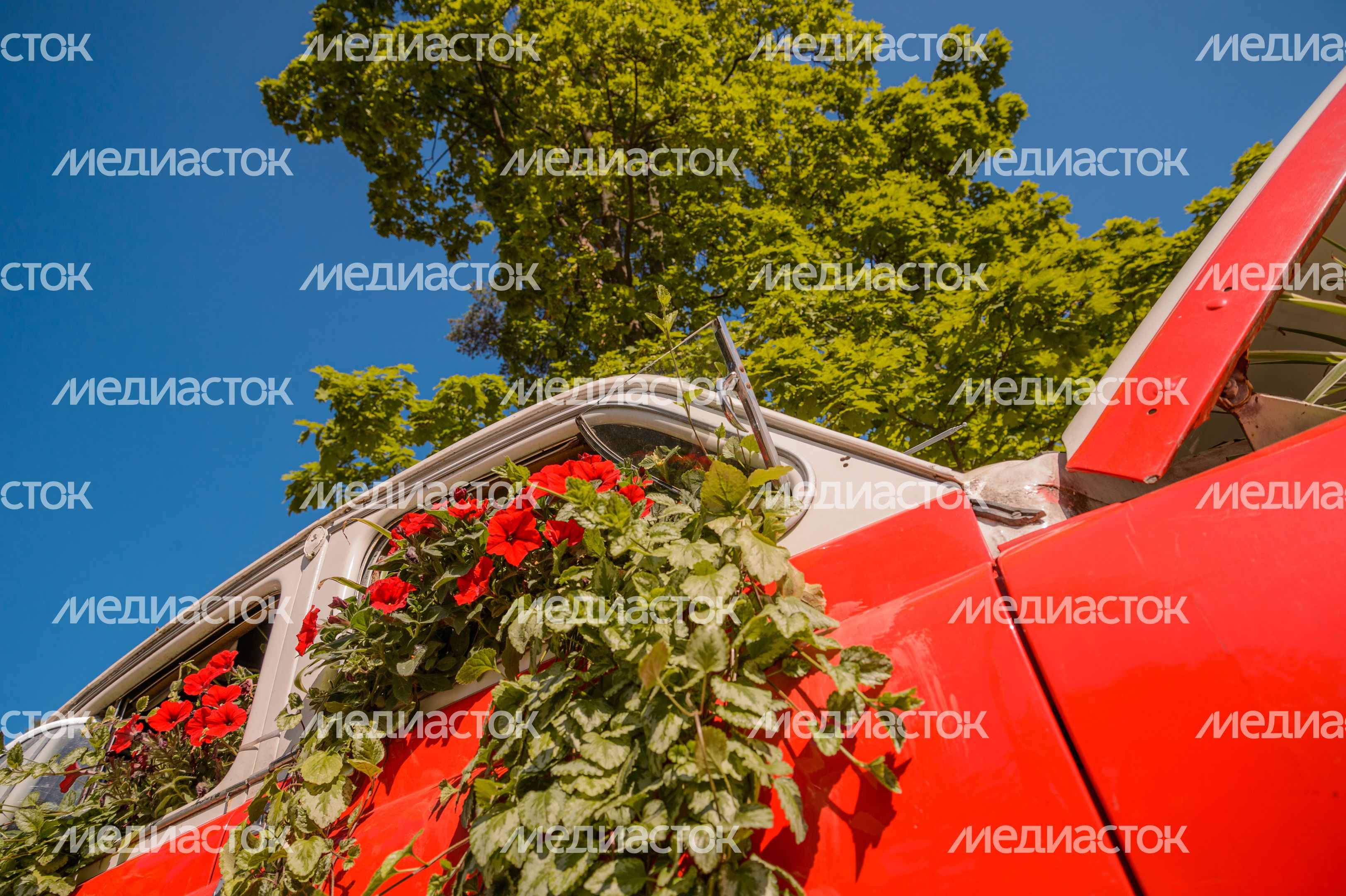 Парк Пехорка