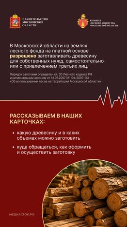 Как заготовить древесину вертикаль 02