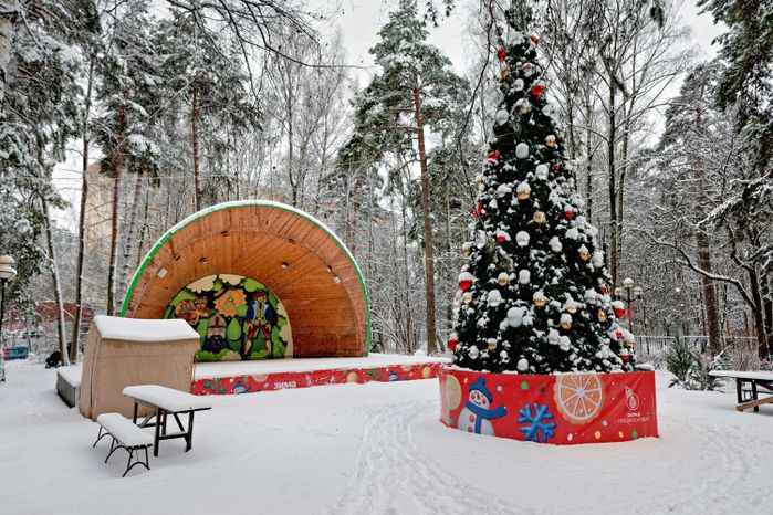 Новогодняя елка в снегу в экопарке «Губайловский» в Красногорске зимой