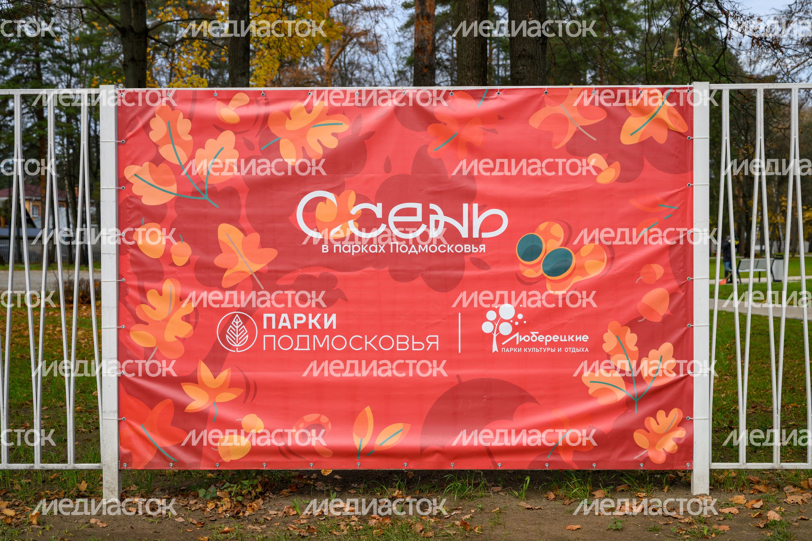Летний парк в Малаховке округа Люберцы осенью Летний парк в Малаховке округа Люберцы осенью