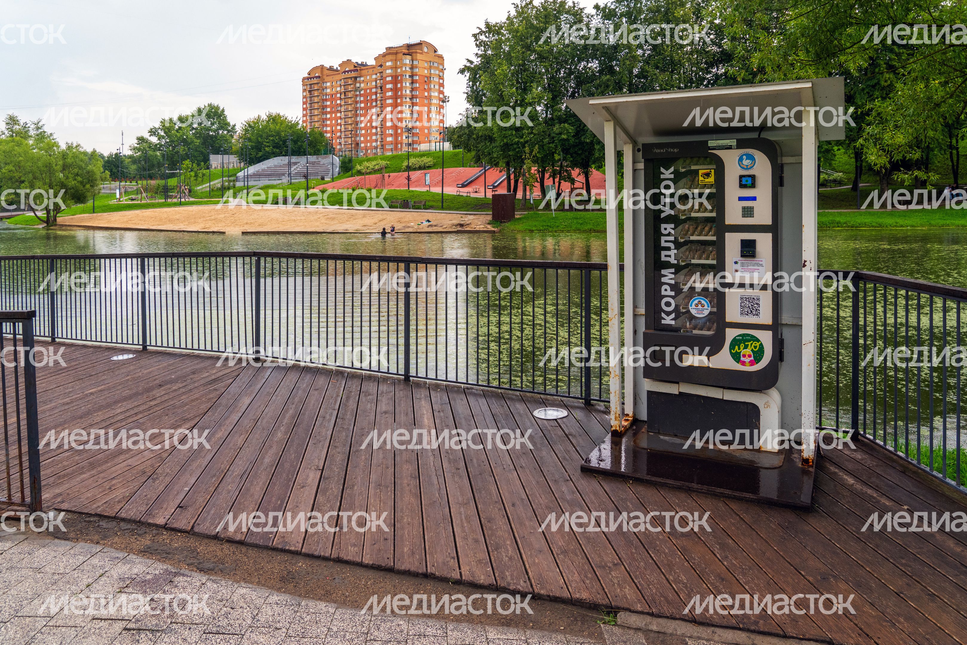 Автомат с кормом для уток на набережной реки Теребенки в Чехове Автомат с кормом для уток на набережной реки Теребенки в Чехове