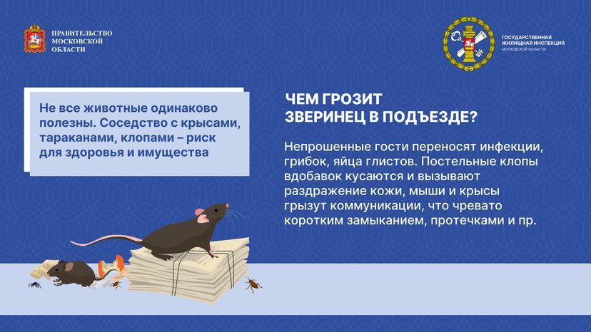 Ах ты паразит