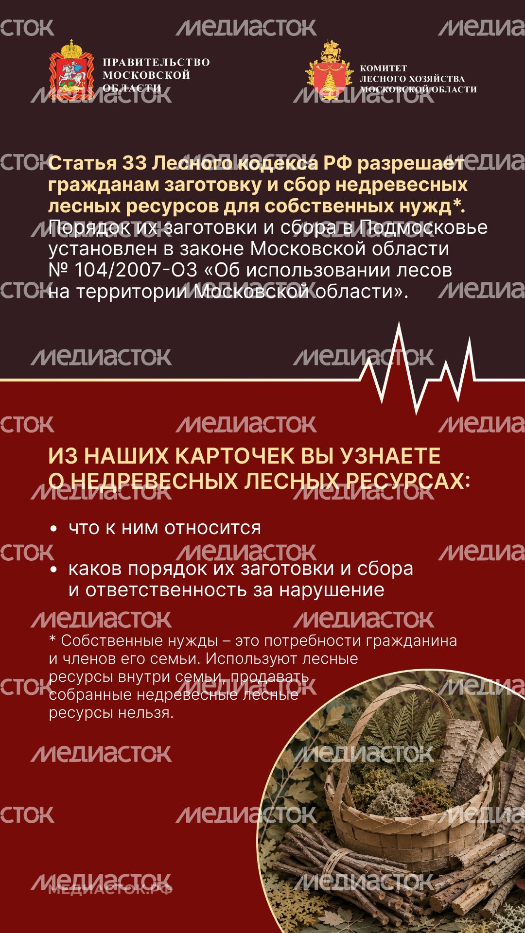 Недревесные ресурсы для собственных нужд Вертикаль 02
