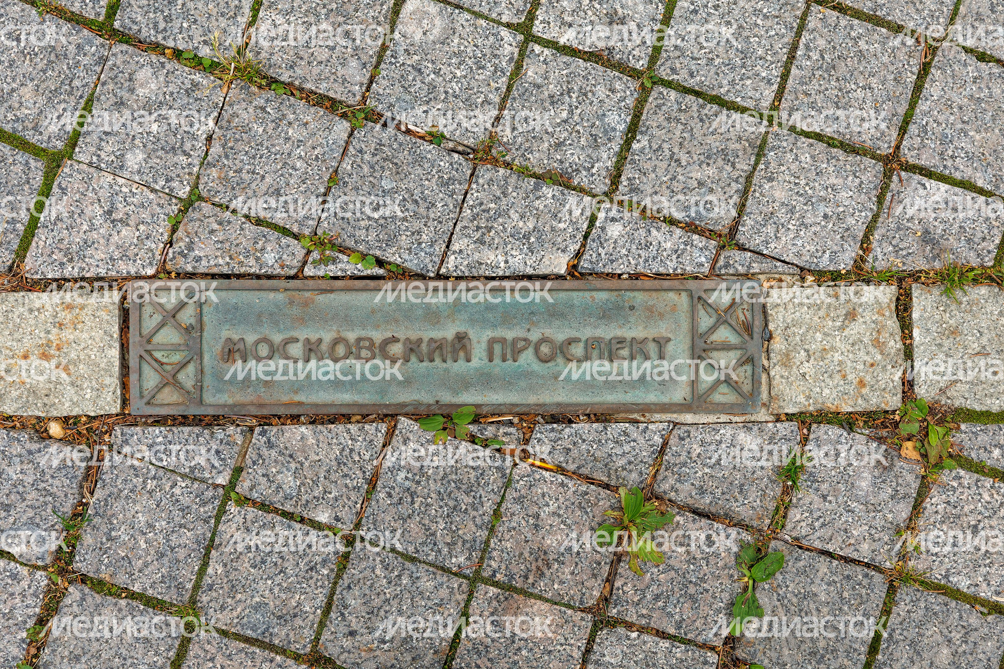 Центральный парк культуры и отдыха Пушкино Центральный парк культуры и отдыха Пушкино