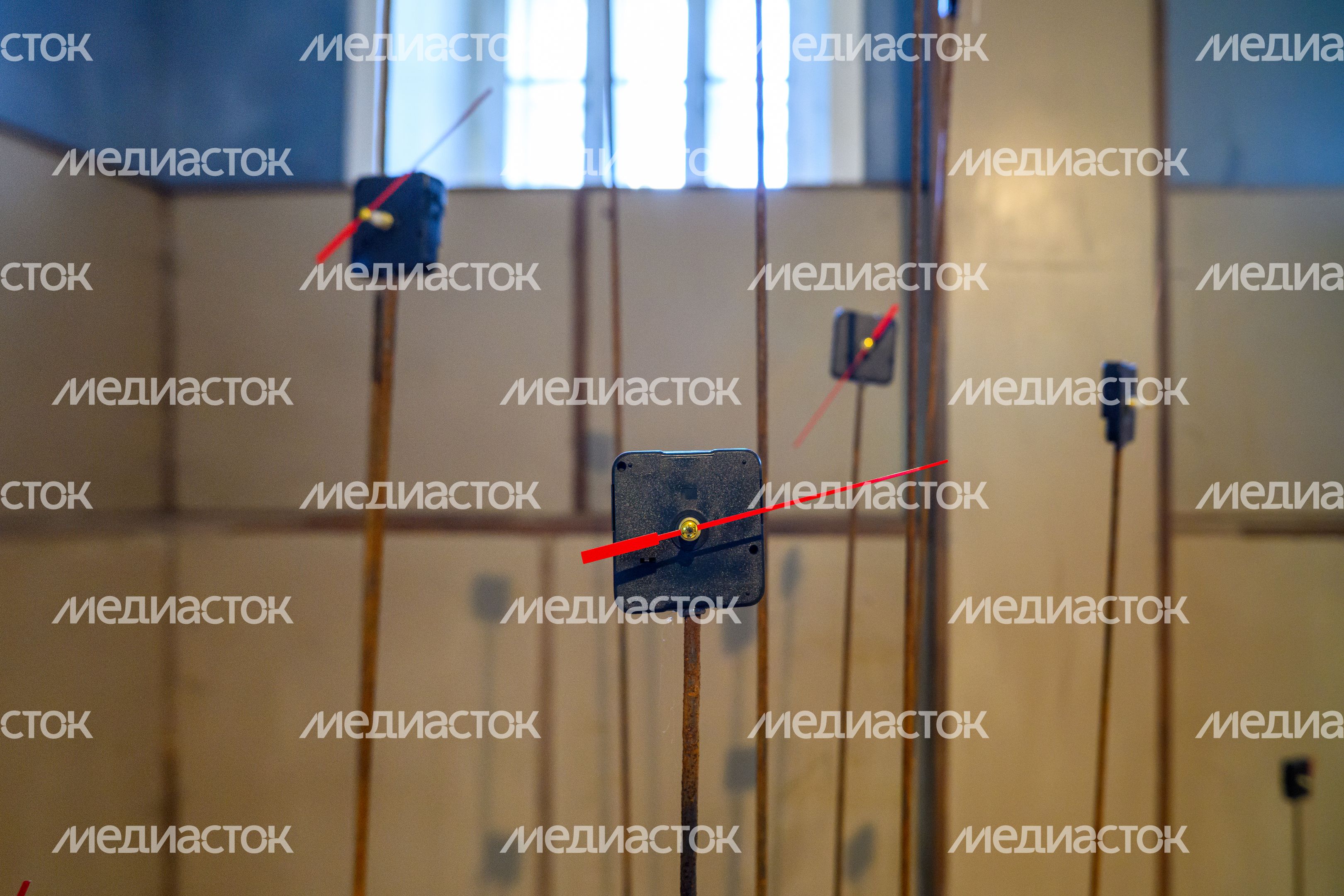 Фестиваль современного искусства "Заповедное" в Горках Ленинских Фестиваль современного искусства "Заповедное" в Горках Ленинских