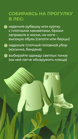 комлесхоз_клещи_верт_4