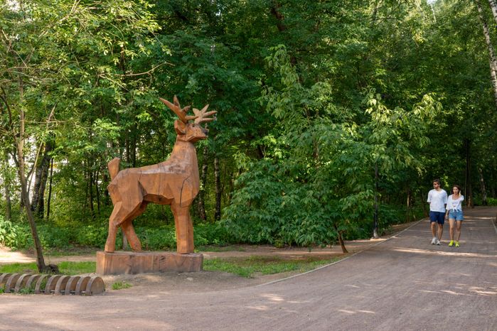 Липовая роща в Красногорске