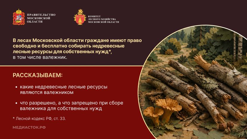Валежник для собственных нужд горизонталь 02
