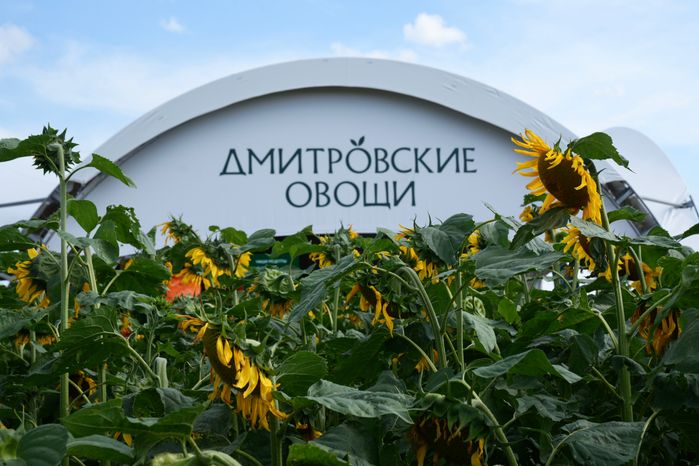 Агропромышленная выставка "День поля Московской области" в Дмитровском округе