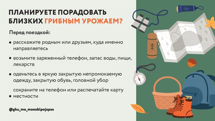 Горизонталь грибы 03.jpg