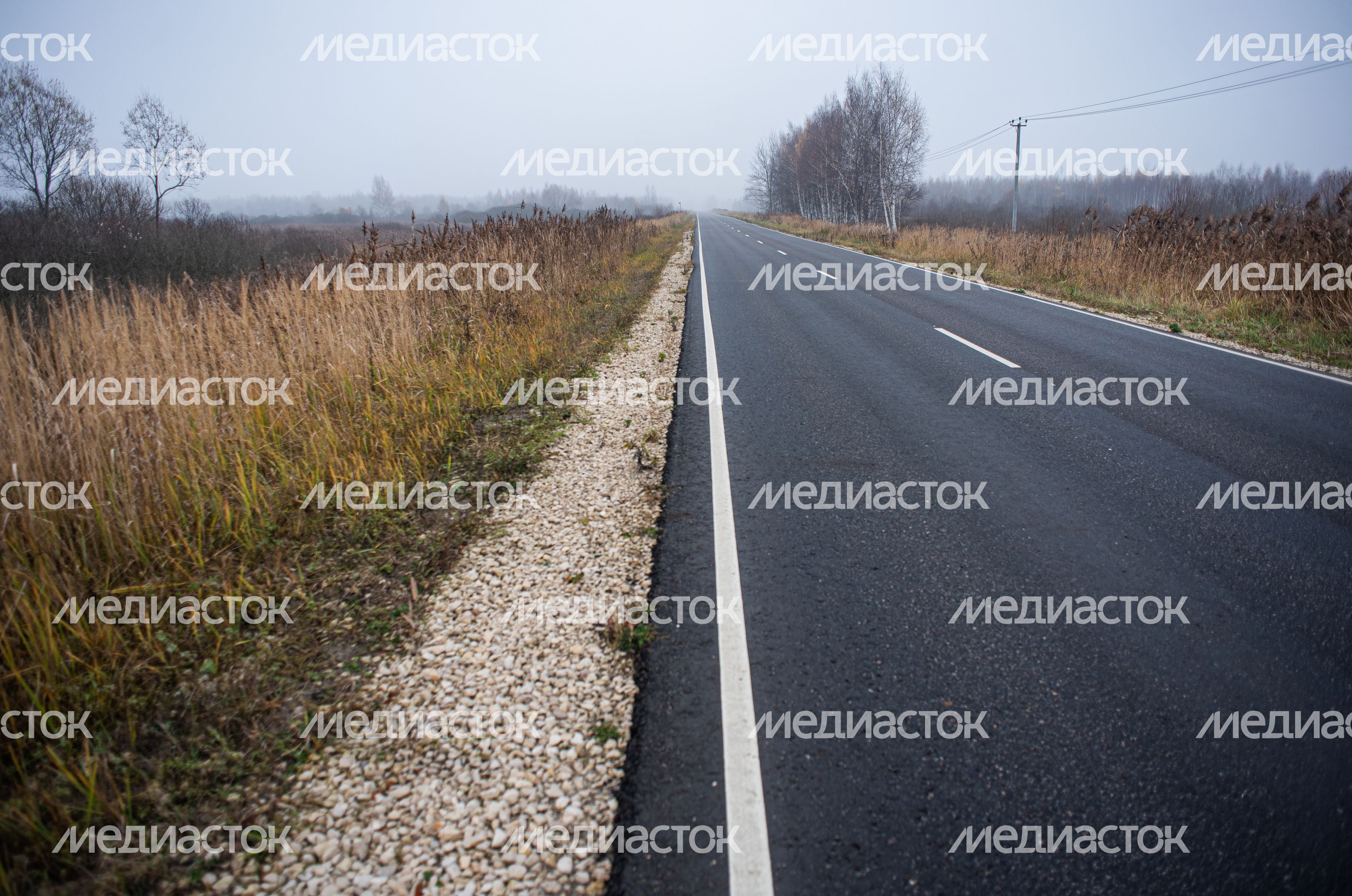Шатурские болота