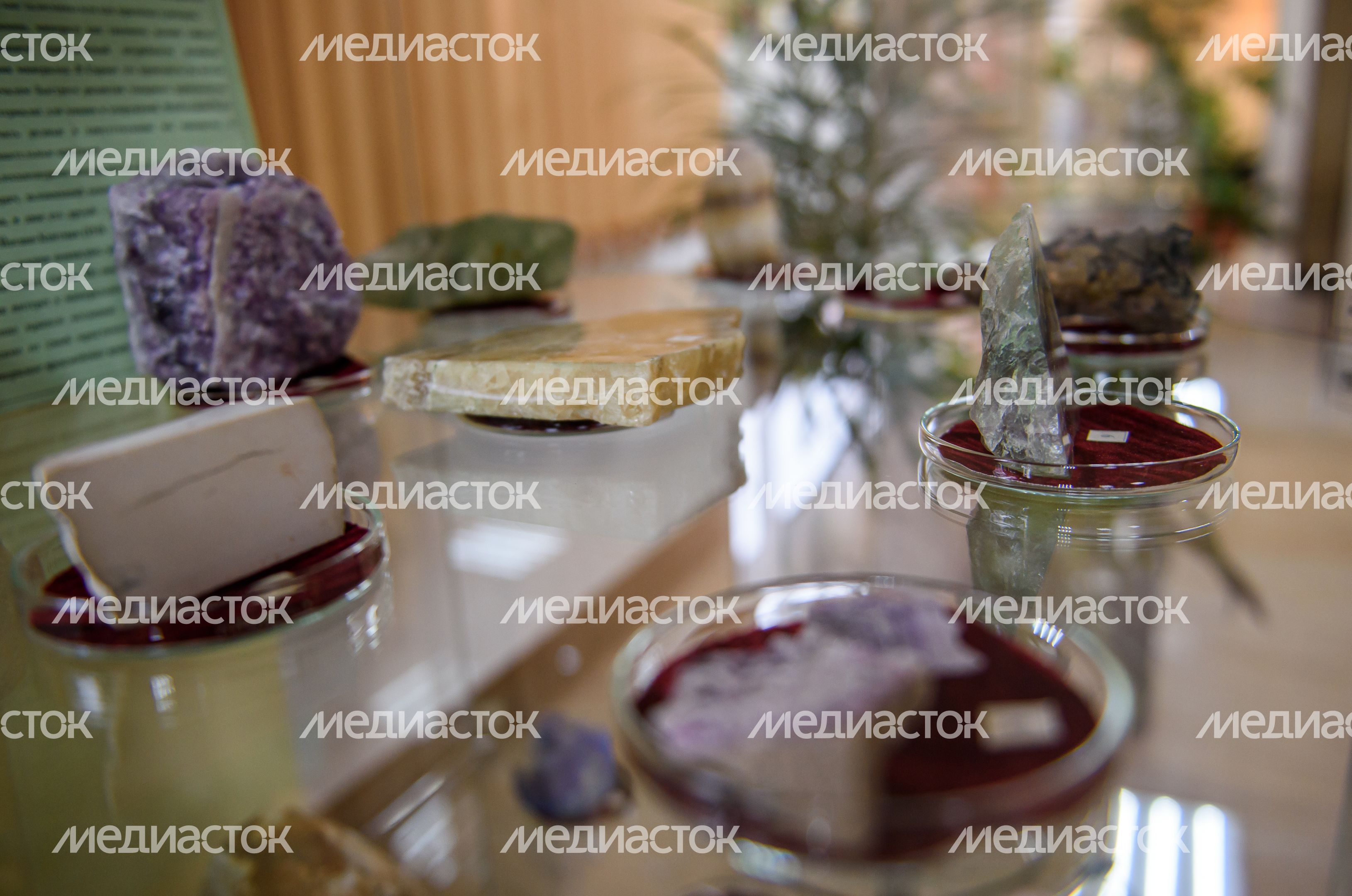 Пущинский музей экологии и краеведения