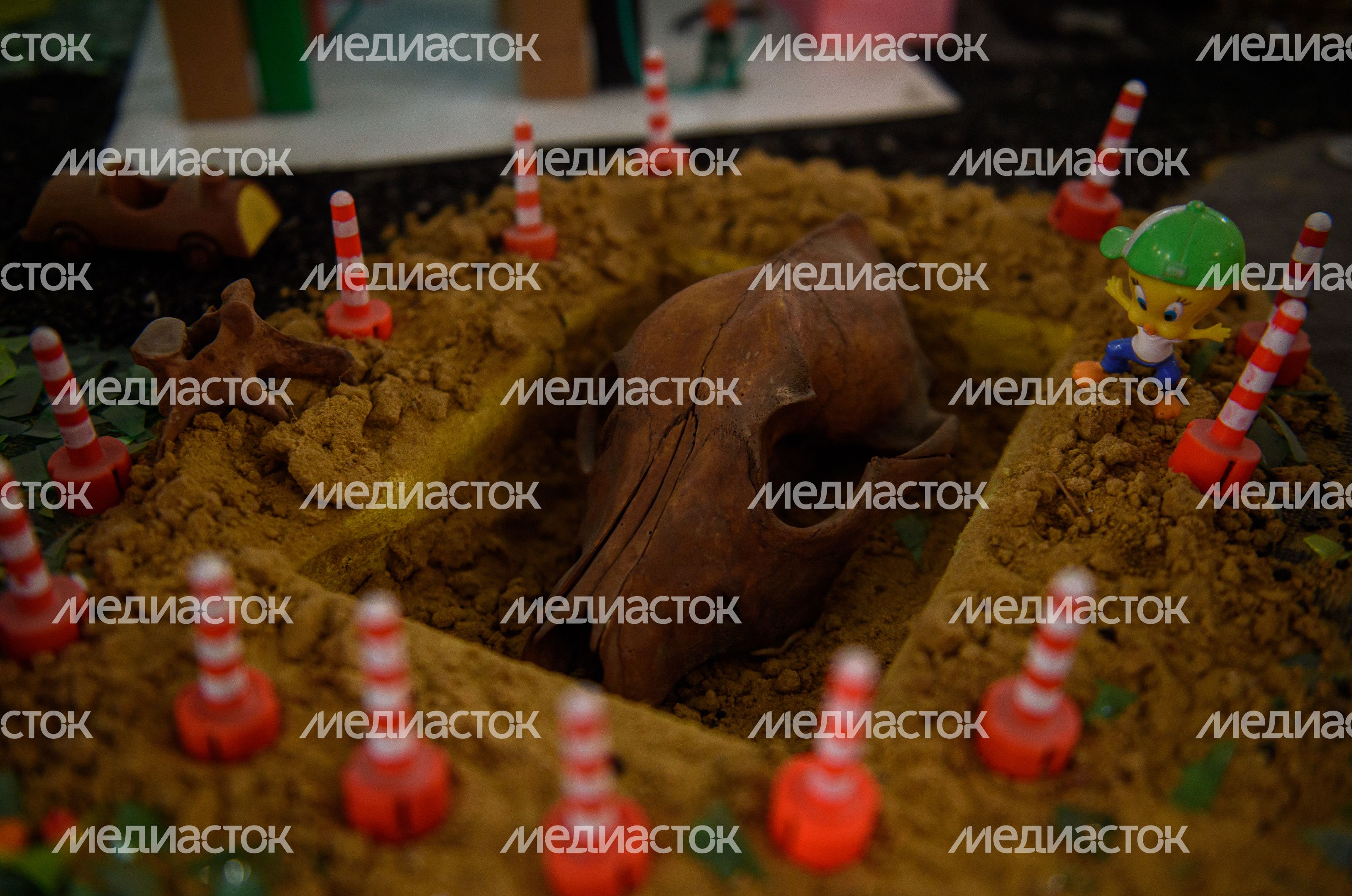 Интерактивный ЭкоМузей «МУЗМУС»