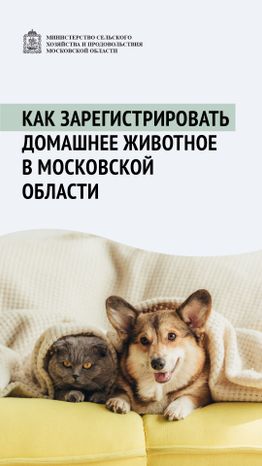 Вертикаль_ зарегистрировать домашнее животное_01-100.jpg