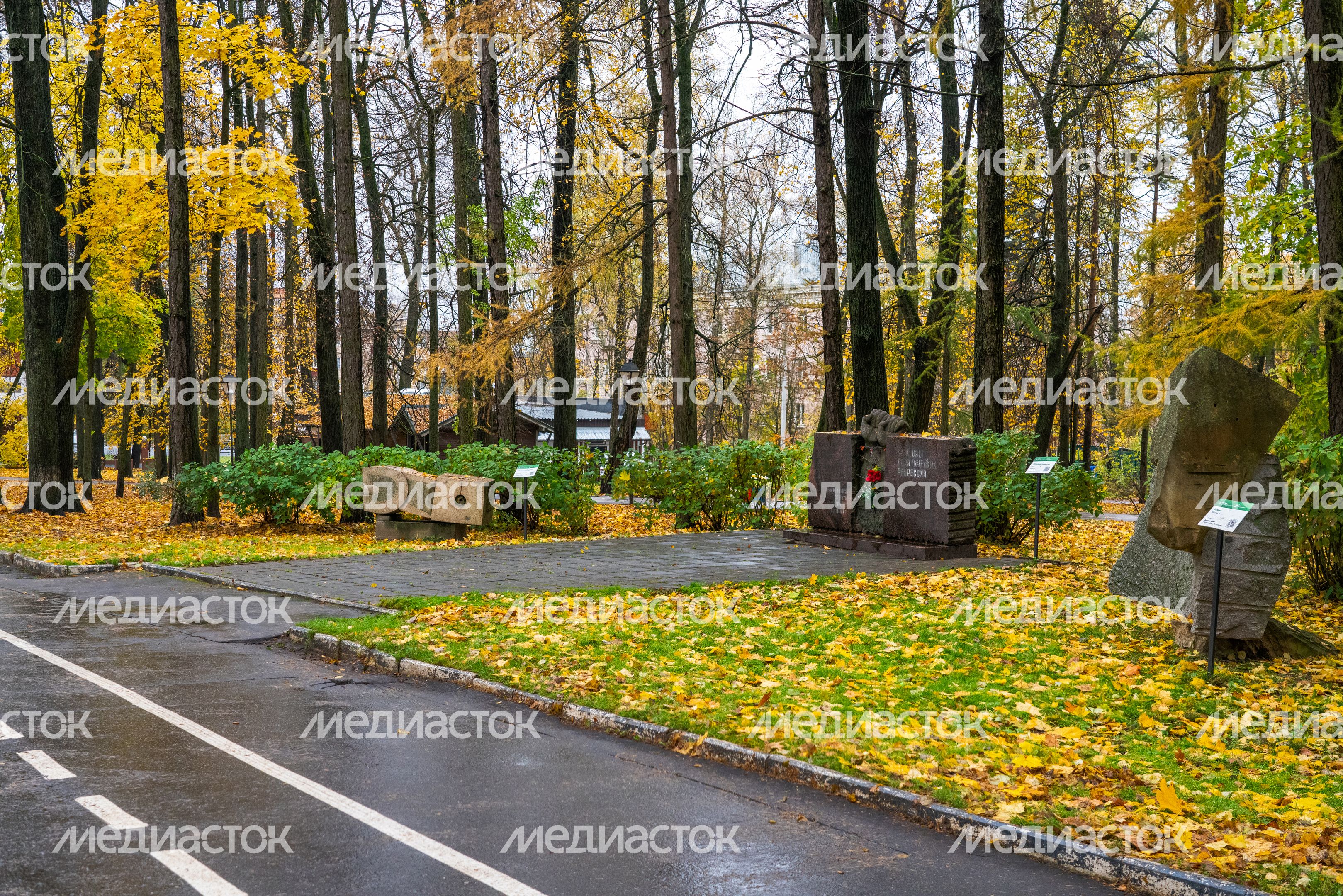 Авторские скульптуры в городском парке культуры и отдыха Солнечногорска осенью Авторские скульптуры в городском парке культуры и отдыха Солнечногорска осенью