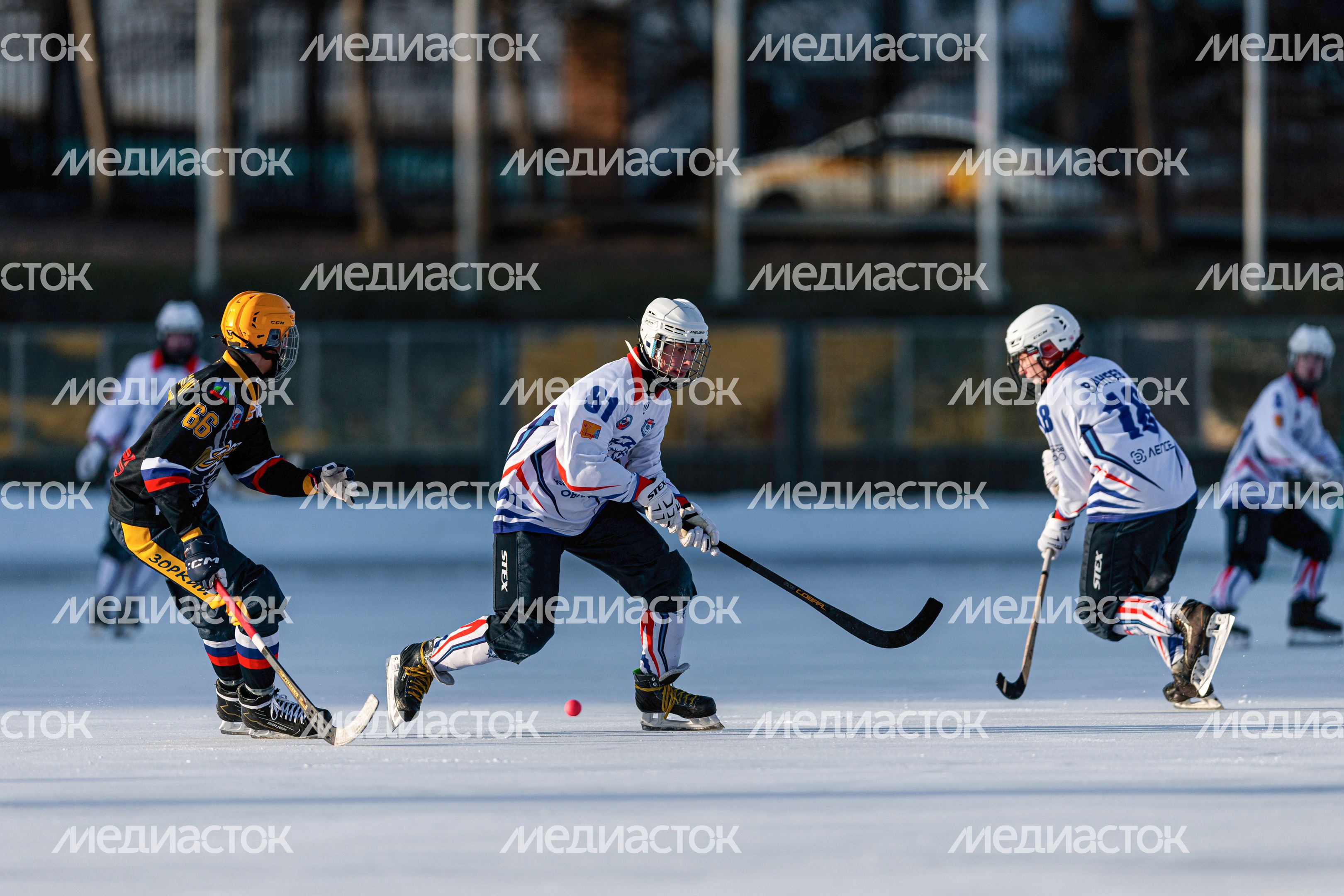 Чемпионат России по хоккею с мячом в Красногорске Чемпионат России по хоккею с мячом в Красногорске