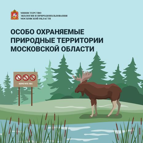 Обложки