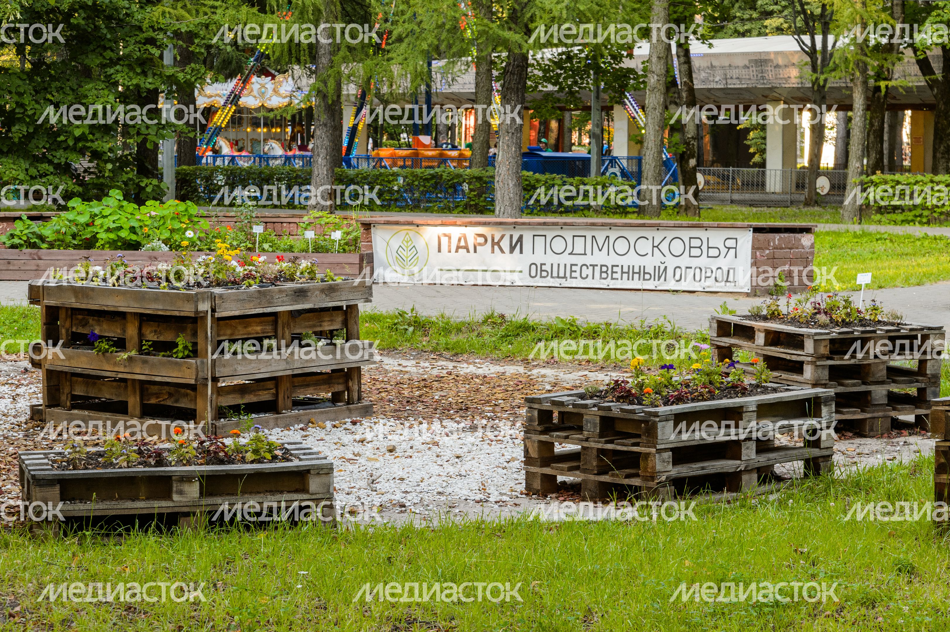Королев. Центральный городской парк Королев. Центральный городской парк