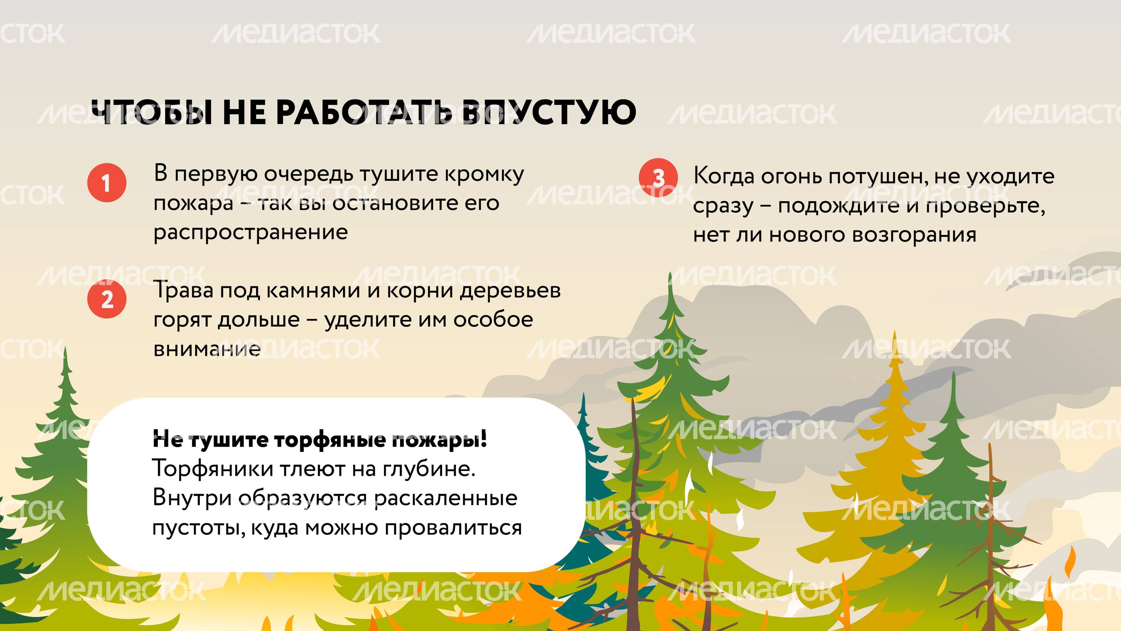 Лесные пожары