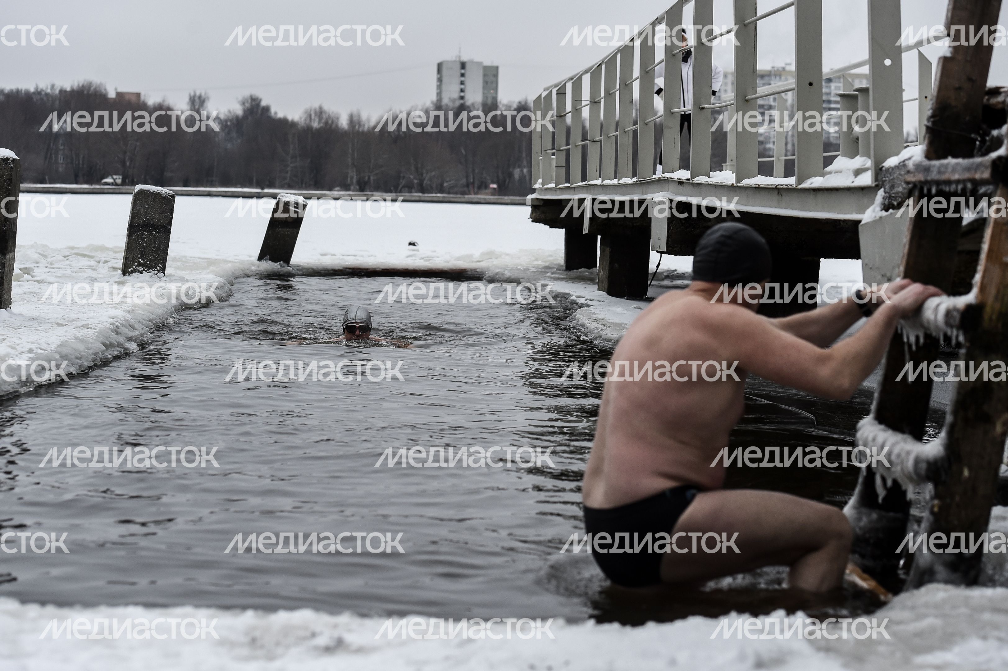 Купание моржей в Долгопрудном