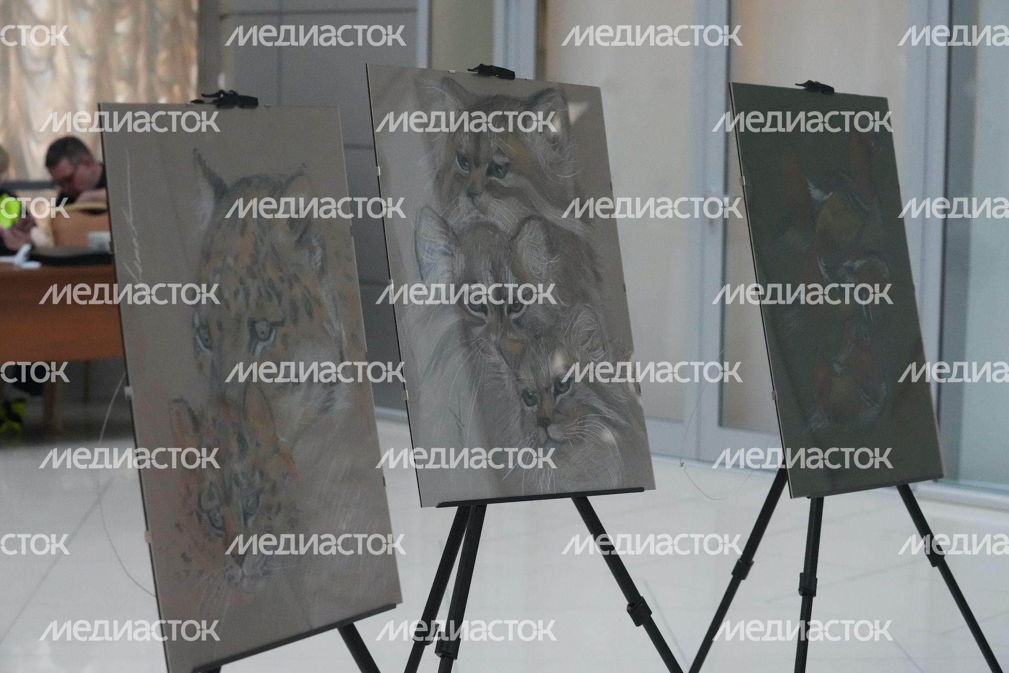 Открытие губернатором Подмосковья пленарного заседания экологического форума «Устойчивое развитие: новые тренды и глобальные вызовы»