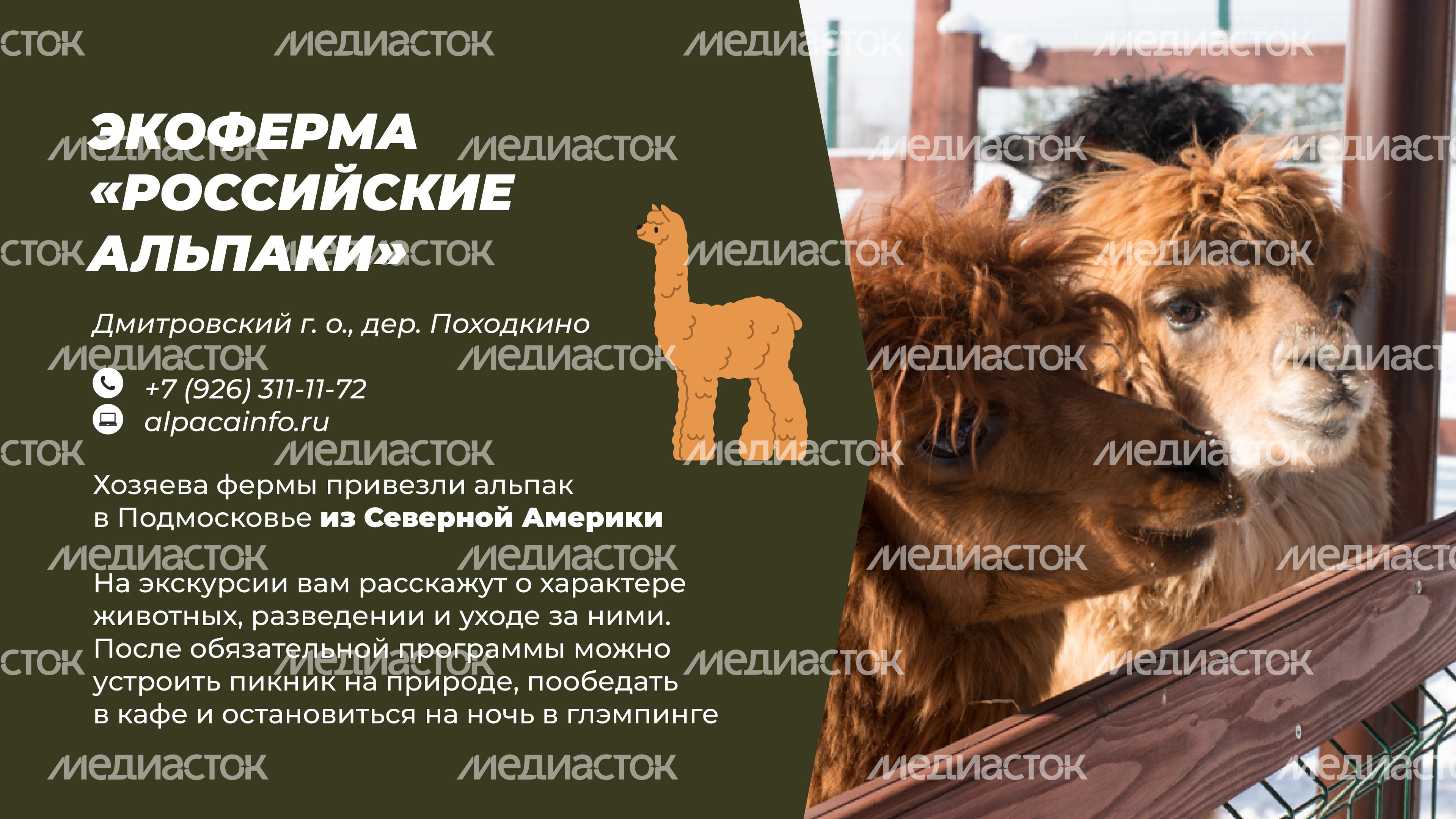 Фермы с животными-14.jpg