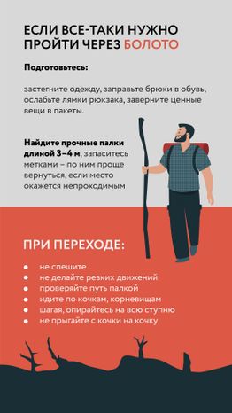 Болото-Вертикаль-05.jpg