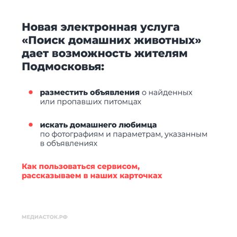 Домашние животные квадрат 02