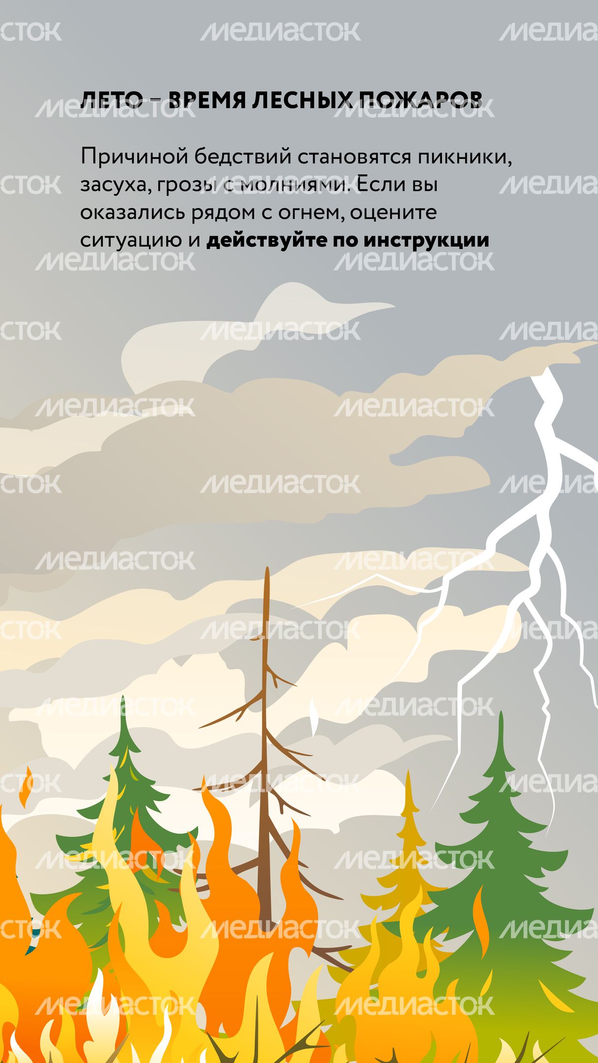 Лесные пожары-02.jpg