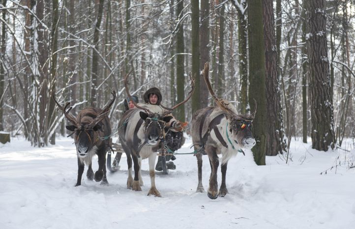 Оленья ферма в Дзержинском