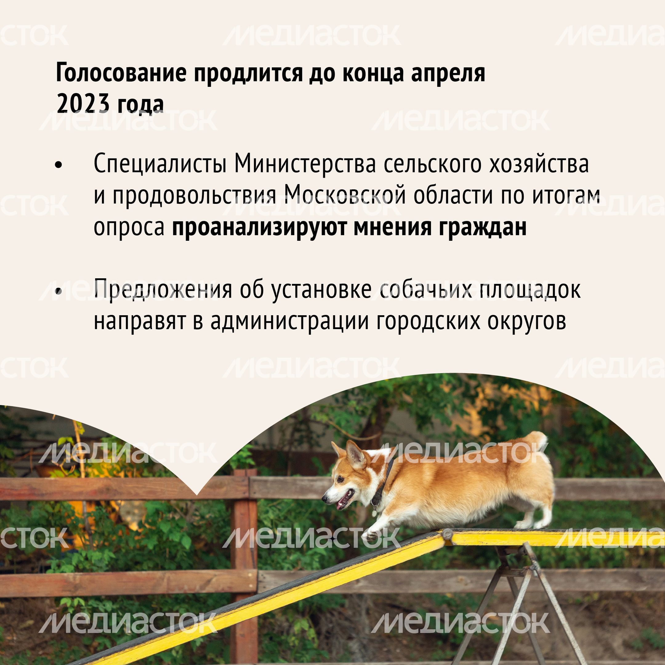 Голосование. Собачьи площадки-13.jpg