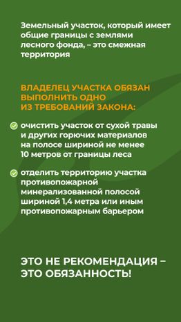 комлесхоз_пал_верт_7.jpg
