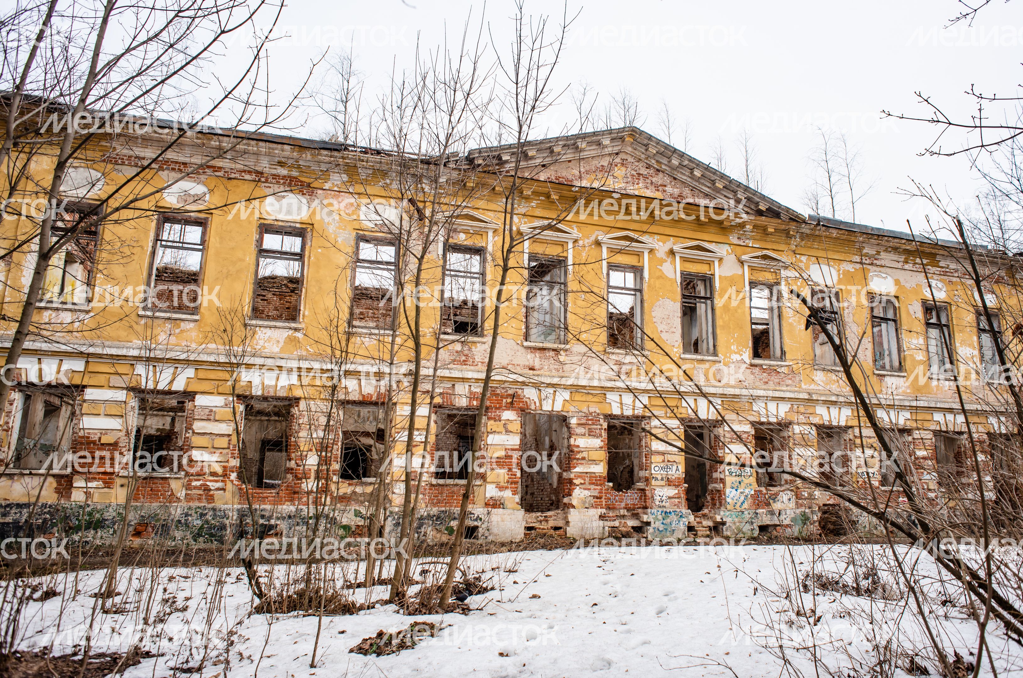Весенние виды усадьбы Молоди