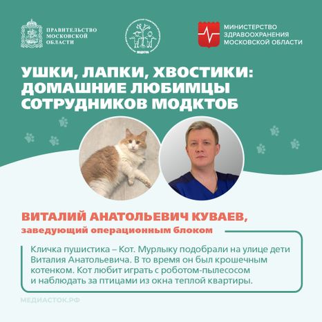 Ушки, лапки, хвостики квадрат 01