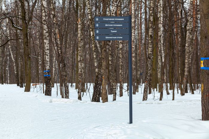 Томилинский лесопарк зимой в городе Дзержинский округа Люберцы