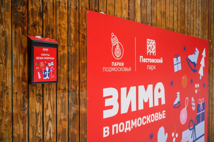Зимний Пестовский парк в Балашихе