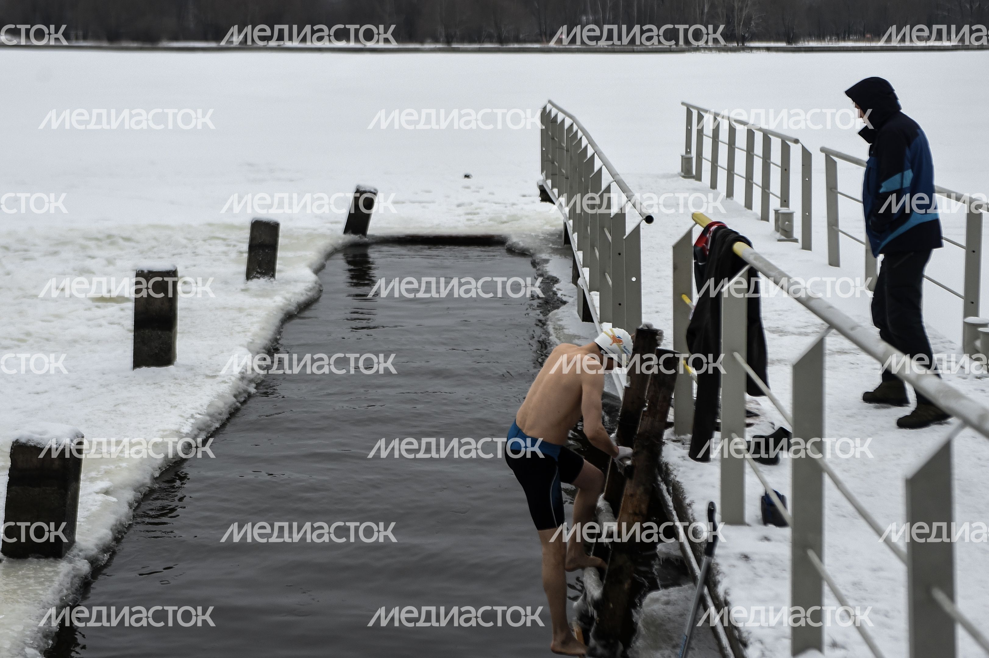Купание моржей в Долгопрудном