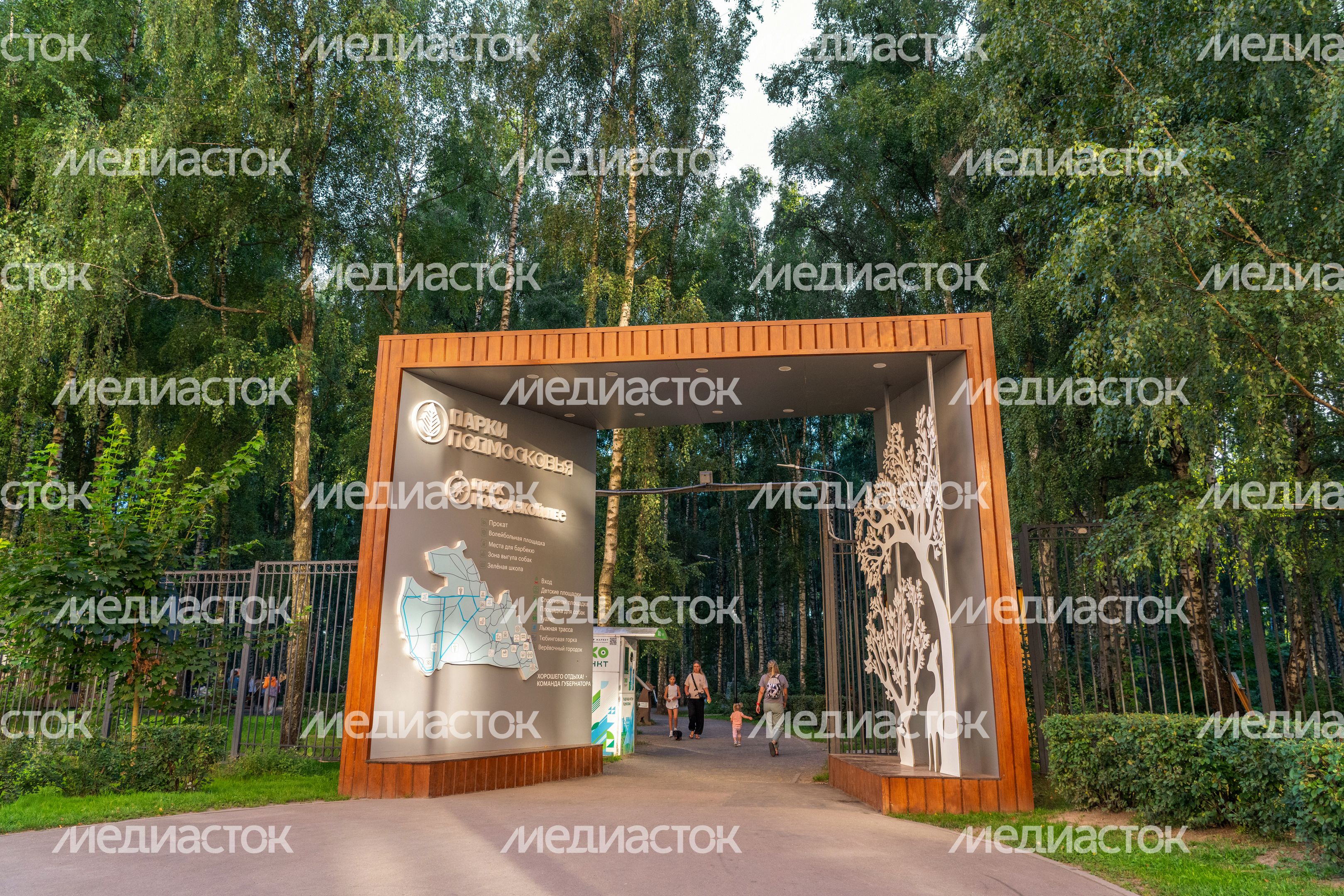 Лето в лесопарке «Городской лес» в Домодедово